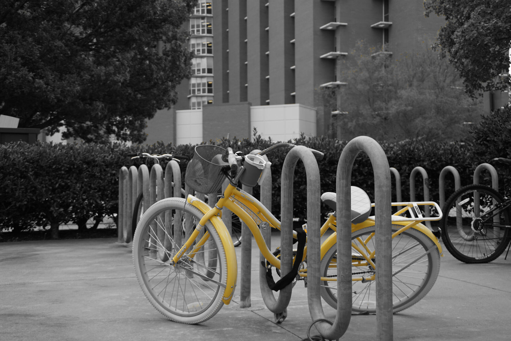 Yellow bike